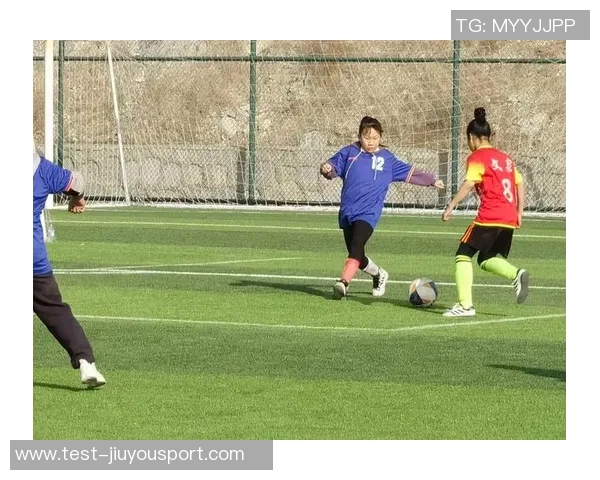 热血足球服部的激情与梦想在绿茵场上绽放的青春故事