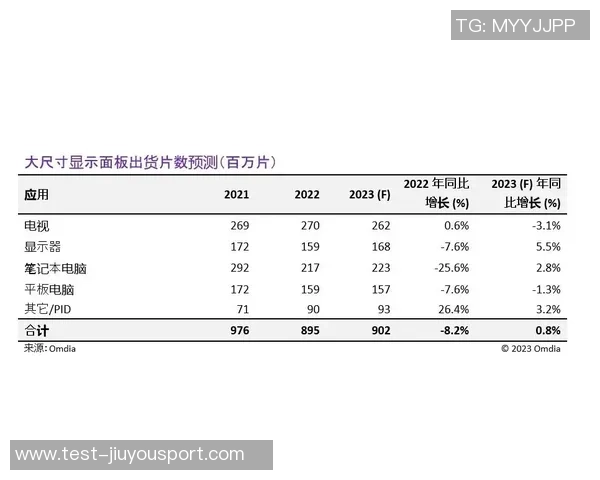 篮球7号和5号的尺寸对比分析哪个更适合你的需求